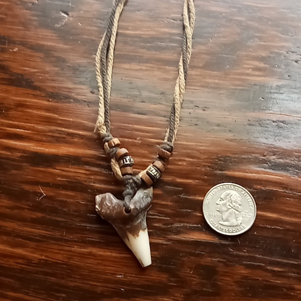 Roped shark tooth necklace